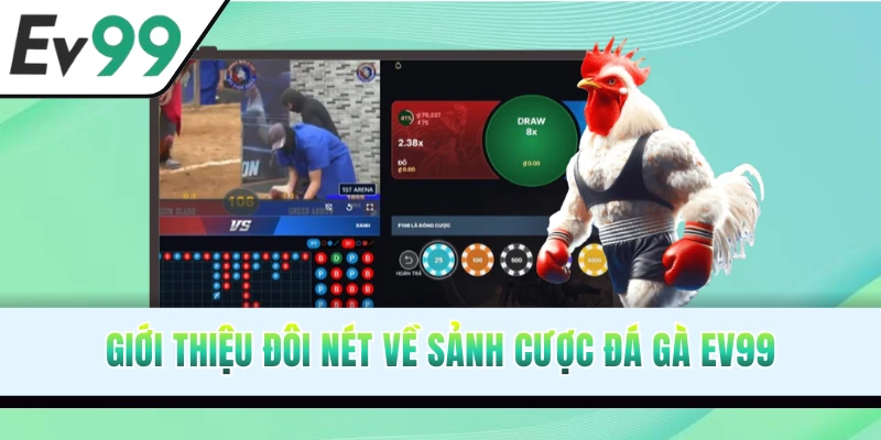 Đôi nét về chuyên mục đá gà EV99